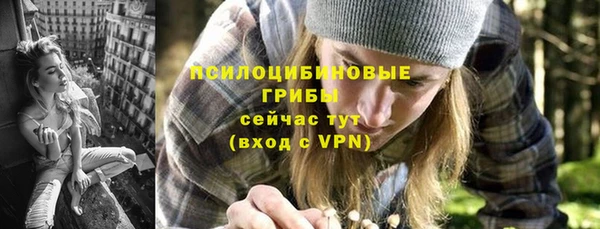 бошки Абаза